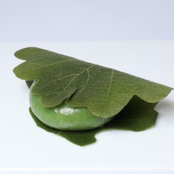 柏もち　よもぎつぶあん